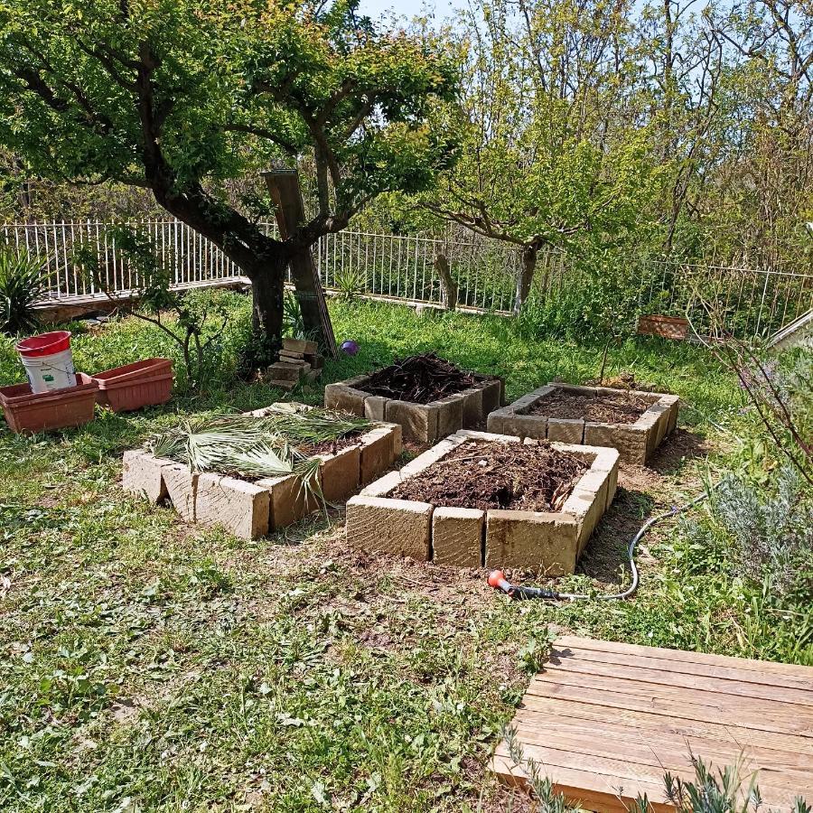 Ripe's Forest Garden Rom