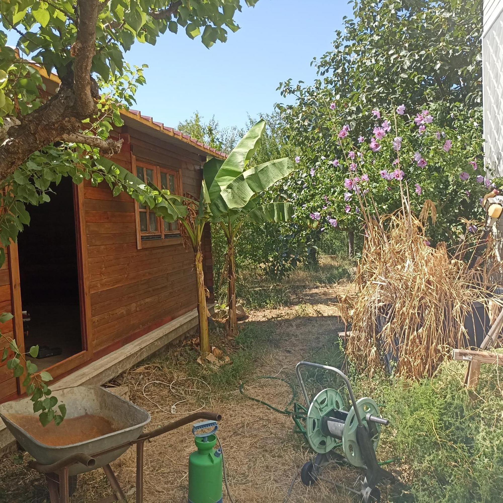Ripe's Forest Garden Gasthof