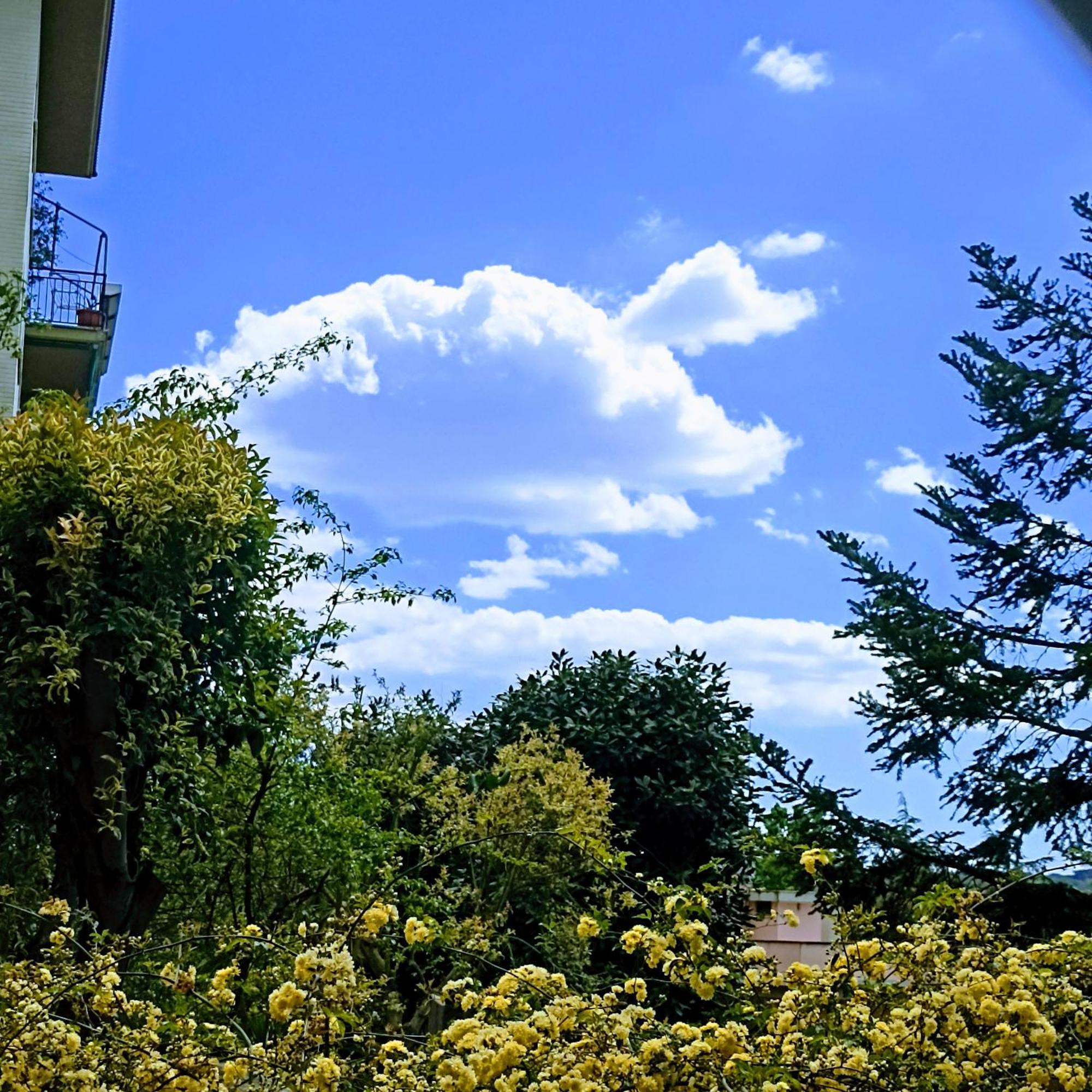 Gasthof Ripe's Forest Garden Rom